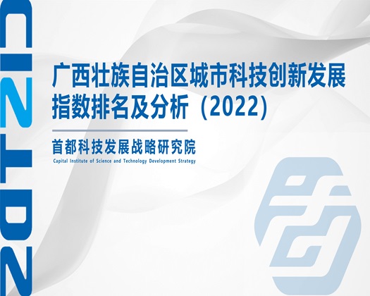 免费看操批网站【成果发布】广西壮族自治区城市科技创新发展指数排名及分析（2022）